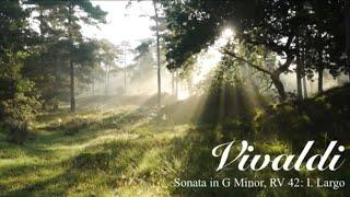 Vivaldi: Sonata in G Minor, RV 42: I. Largo (Arr. by Yuki Ato Narayan for Solo Recorder)