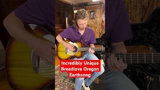The Unique Breedlove Oregon Earthsong Guitar