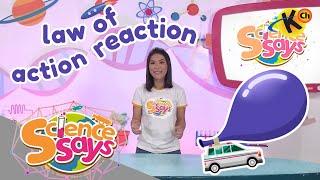 Law of Action Reaction | Science Says