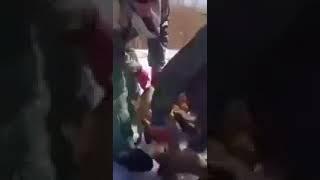 вот это улов