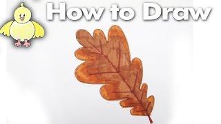 How to draw an easy Oak Leaf step by step