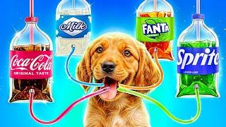 Pet Owners vs Their Pets in a Food Challenge! Fanta vs Sprite vs Coca-Cola!