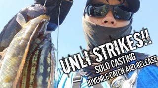 Unlimited Strike!! | Solo Casting | Juvenile Catch and Release | Ultralight Fishing Misamis Oriental