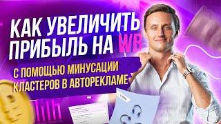 Кластеры в автоматической рекламе на Wildberries  Увеличиваем прибыль с помощью минусации группы за