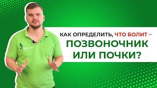 ТЫ не перепутаешь! Как определить, что болит – позвоночник или почки? Боль в пояснице что это?