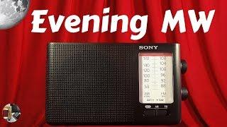 Sony ICF-19 Portable Radio Evening MW