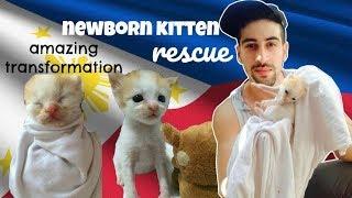 How I found my PUSPIN BABY! | MAUI BOY Rescue MANILA PHILIPPINES