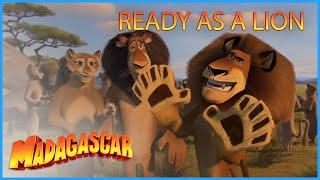 DreamWorks Madagascar | Alex is Ready to Become a Lion! | Madagascar: Escape 2 Africa | Kids Videos