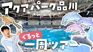 行く前に見て！アクアパーク品川が100倍楽しめる水族館 徹底解説ツアー |感動のイルカショー | tokyo aquarium