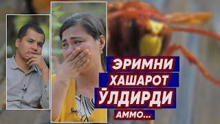 ҚОТИЛ ХАШАРОТ. АЁЛ АЧЧИҚ ҚИСМАТИ ВА ИРОДАСИ