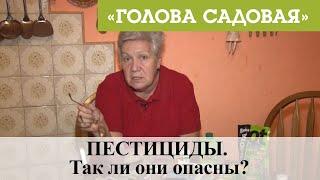 Голова садовая - ПЕСТИЦИДЫ. Так ли они опасны?