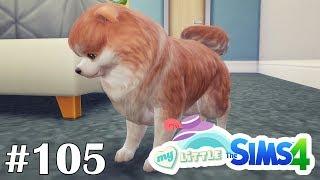 Бедный Пончик - My Little Sims (Город) - #105