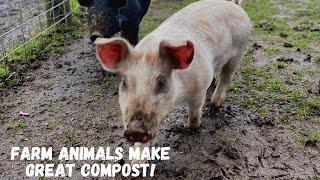 Farm Animals Make Great Compost!