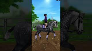 #horse #sso #horses #starstable #starstablehorses  #starstableonline