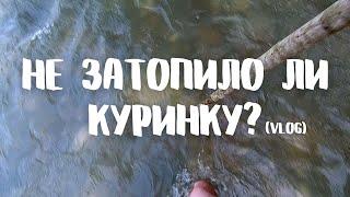 Не затопило ли Куринку? Станица Куринская