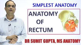 RECTUM : ANATOMY