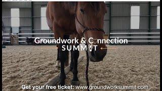 Groundwork and Connection Summit trailer by Elaine Heney and Listening to the Horse