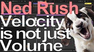 Ableton Tutorial - Velocity is not just Volume = Ned Rush