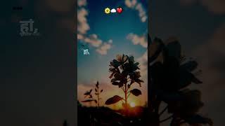 #lovesong  #lovestory  #nacher  ... #love #song #lifeisbutadream #flowers