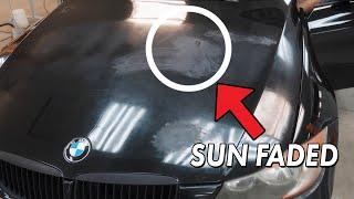 You won't believe the condition of this paint!