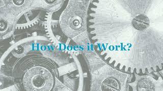The System Triage Officer: The Value of Emergency Medicine Physicians Delivering Value-Based Care