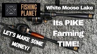  Fishing Planet | Where to farm Northern Pike on White Moose Lake 