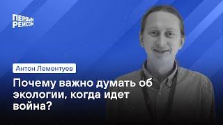 Почему важно думать об экологии, когда идет война?