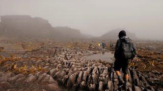 What I found on the top of Mount Roraima?