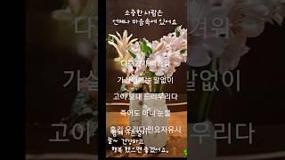 영변의약산진달래2025년 4월 12일