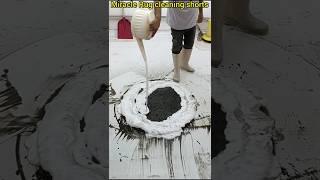 Most Satisfying Rug Cleaning Ever!