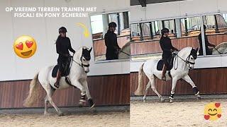 Pony SCHEREN! & Met Fiscal naar VREEMD terrein om te trainen! |Purarazadivino #VLOG 163