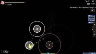 217pp