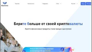 Blammo LTD — предоставляет брокерские услуги