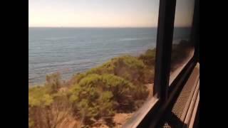 Amtrak Coast Starlight Vine