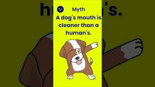 Dog's Mouth #concern #myths #facts