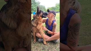 Dobby vs Kitties‍‍⬛German Shepherd. Odessa 2024