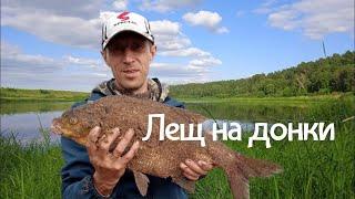 Bream on donkey crocodile and feeder / Night fishing on the Volga / Trophy bream