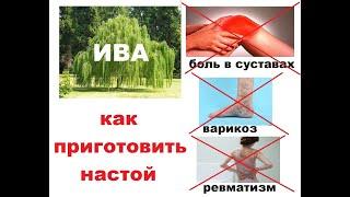 Как приготовить настой Ивы. Лекция по  Фитотерапии. Выпуск 1.