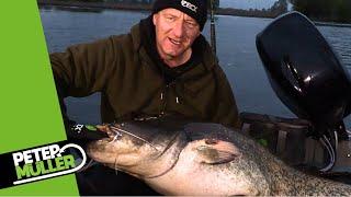 Wallerangeln - Neues Gewässer + Eine Montage für Wurm und Köderfisch #fishing #angeln