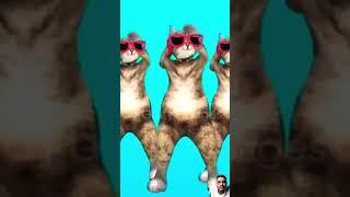 Dagi dance #dog #mojmasti #funny#comedy #short#video