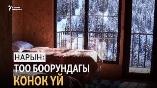 Нарын: Тоо боорундагы конок үй