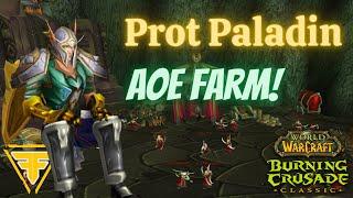 TBC Protection Paladin - AoE Gold/Reputation and XP Farm (Shadowmoon valley)