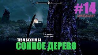 СОННОЕ ДЕРЕВО #14 - The Elder Scrolls V Skyrim Special Edition