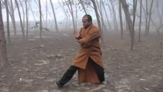 Shifu Kanishka Shaolin Gurukul