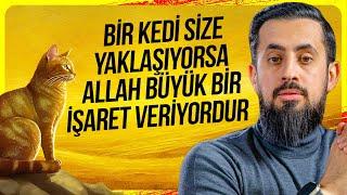 Bir Kedi Size Yaklaşıyorsa Allah Büyük Bir İşaret Veriyordur - Kelb @Mehmedyildiz