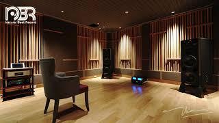 Audio Reference - Sound Test Audiophile's Room - Natural Beat Records