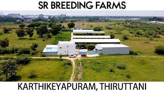 SR BREEDING FARMS | SR வளர்ப்பு பண்ணைகள் | திருத்தணி | ஆடுகள் | நாட்டுக் கோழிகள் | நாட்டு வாத்துகள்