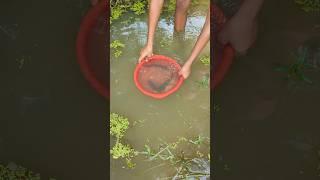 fishing challenge video 2024#fishing#funny#fish#shorts