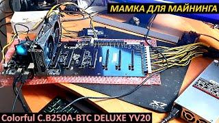 ПЛАТА ДЛЯ МАЙНИНГА Всё-в-одном на 12 видеокарт Colorful C.B250A-BTC DELUXE - ПОЛНЫЙ ОБЗОР