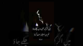 jaun Elia sad shayari  Deep lines poetry ,Two lines poetry , painful lines #shayari #shayri #shorts